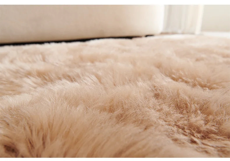 Shaggy Luxurious Fur Rugs.