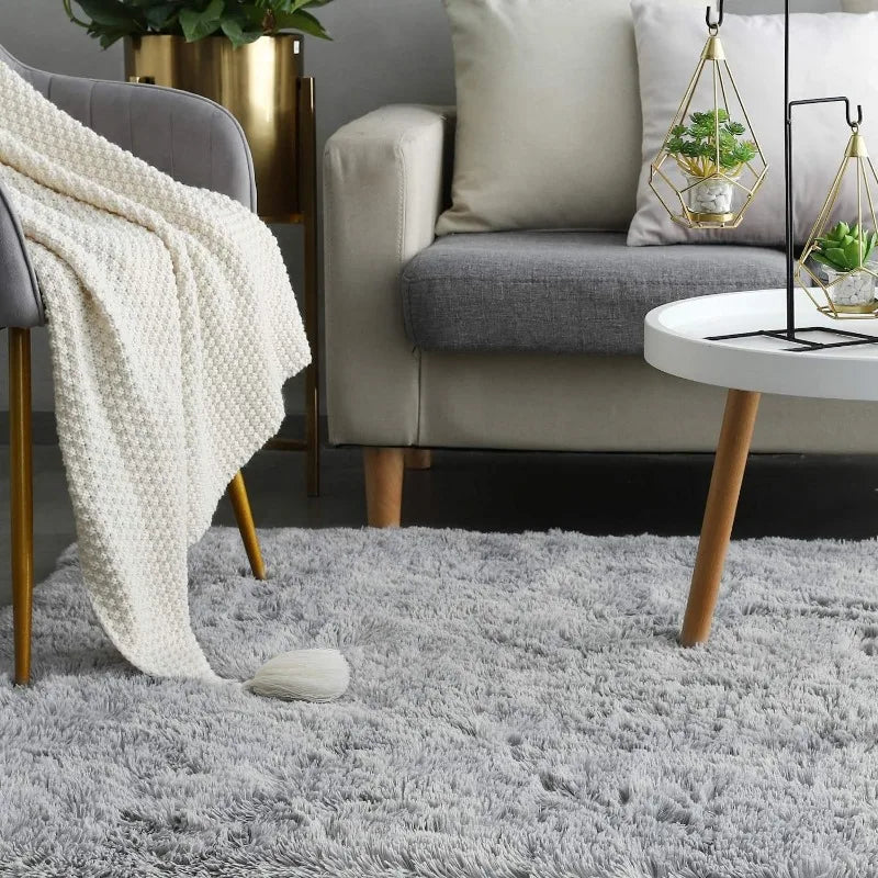 Fluffy Rugs for Living Room, Large Area Rugs With Memory Foam.