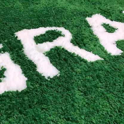 Fashion Brand Wet Grass Tufted Rugs.